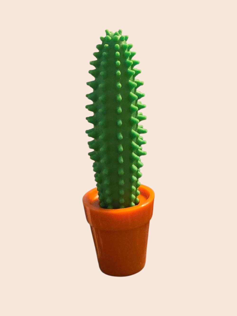 Prickly Pen Cactus Pen with Terracotta Flower Pot Holder NWT